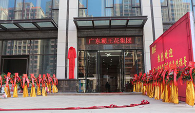 霸王花集團迎來大好日子，八姑、369、列有銀明星助陣