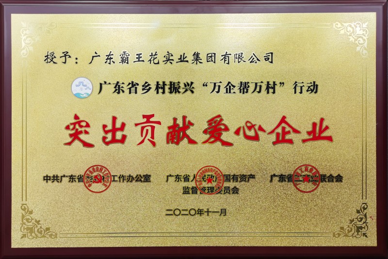 廣東省鄉(xiāng)村振興“萬(wàn)企幫萬(wàn)村”行動(dòng)突出貢獻(xiàn)愛(ài)心企業(yè)