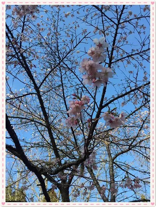 1534298508325531.png 4.png